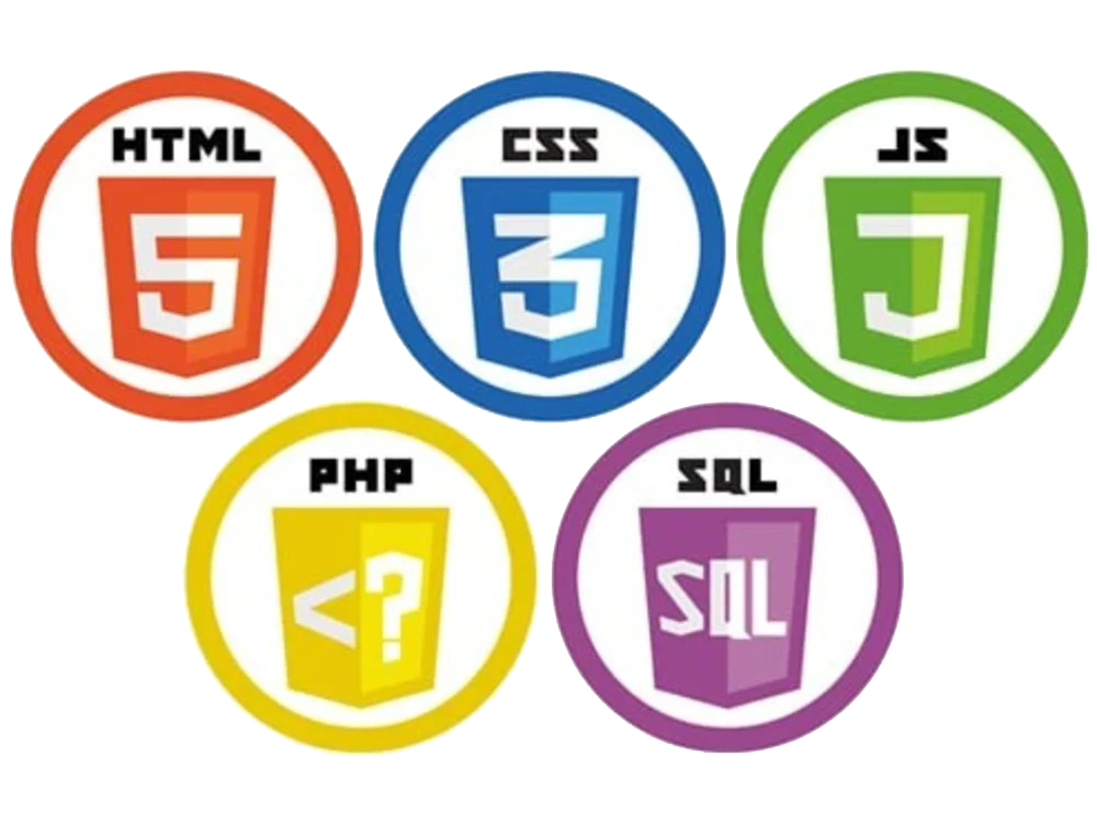 Website Design